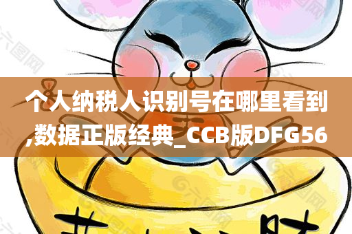 个人纳税人识别号在哪里看到,数据正版经典_CCB版DFG56