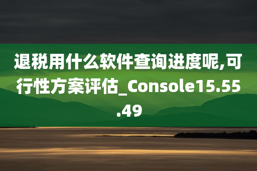 退税用什么软件查询进度呢,可行性方案评估_Console15.55.49