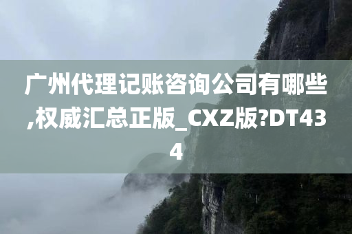 广州代理记账咨询公司有哪些,权威汇总正版_CXZ版?DT434