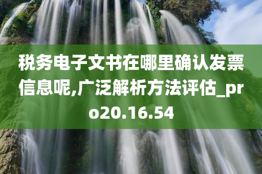 税务电子文书在哪里确认发票信息呢,广泛解析方法评估_pro20.16.54