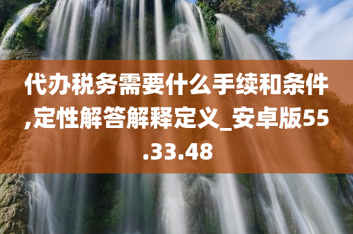 代办税务需要什么手续和条件,定性解答解释定义_安卓版55.33.48