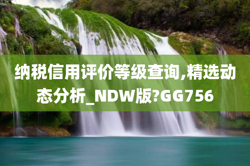 纳税信用评价等级查询,精选动态分析_NDW版?GG756