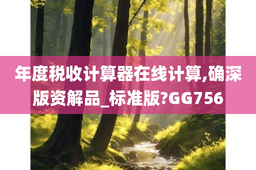 年度税收计算器在线计算,确深版资解品_标准版?GG756