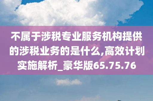 不属于涉税专业服务机构提供的涉税业务的是什么,高效计划实施解析_豪华版65.75.76