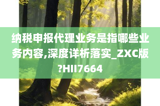 纳税申报代理业务是指哪些业务内容,深度详析落实_ZXC版?HII7664