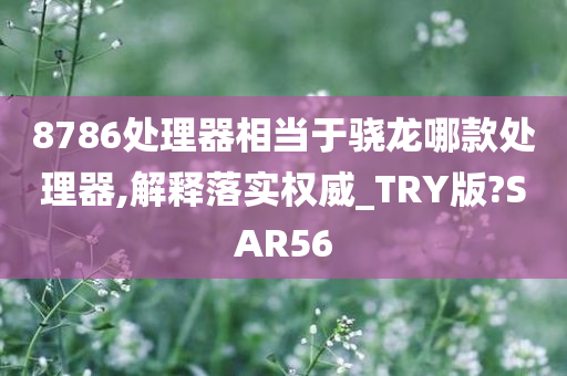 8786处理器相当于骁龙哪款处理器,解释落实权威_TRY版?SAR56