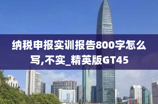 纳税申报实训报告800字怎么写,不实_精英版GT45