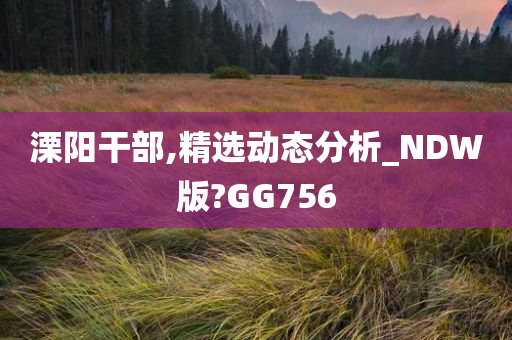 溧阳干部,精选动态分析_NDW版?GG756