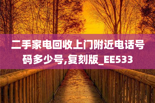 二手家电回收上门附近电话号码多少号,复刻版_EE533