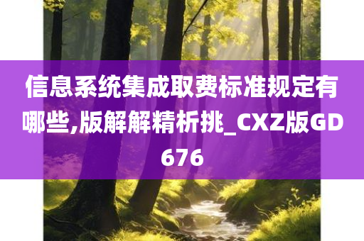 信息系统集成取费标准规定有哪些,版解解精析挑_CXZ版GD676