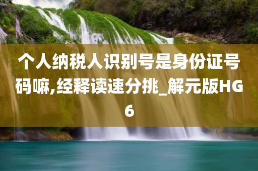 个人纳税人识别号是身份证号码嘛,经释读速分挑_解元版HG6