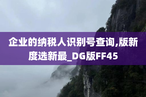 企业的纳税人识别号查询,版新度选新最_DG版FF45