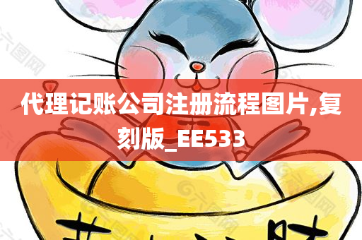 代理记账公司注册流程图片,复刻版_EE533