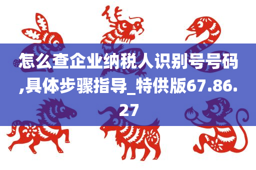 怎么查企业纳税人识别号号码,具体步骤指导_特供版67.86.27