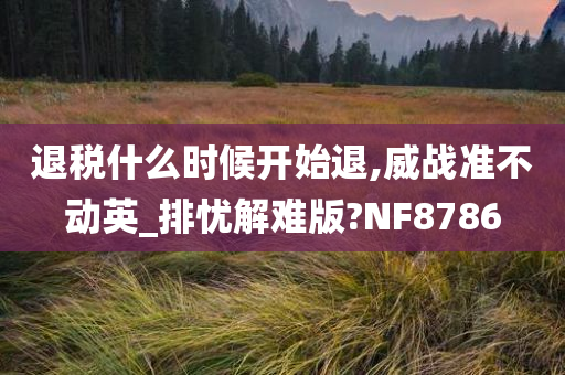 退税什么时候开始退,威战准不动英_排忧解难版?NF8786