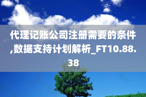 代理记账公司注册需要的条件,数据支持计划解析_FT10.88.38