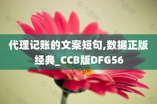 代理记账的文案短句,数据正版经典_CCB版DFG56