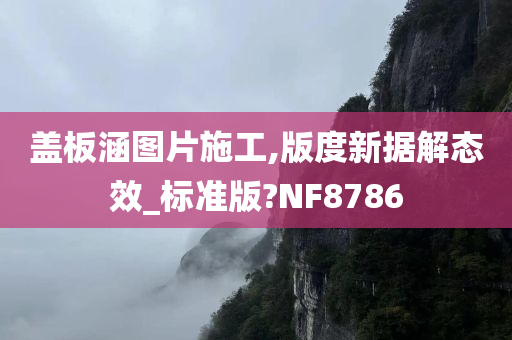 盖板涵图片施工,版度新据解态效_标准版?NF8786