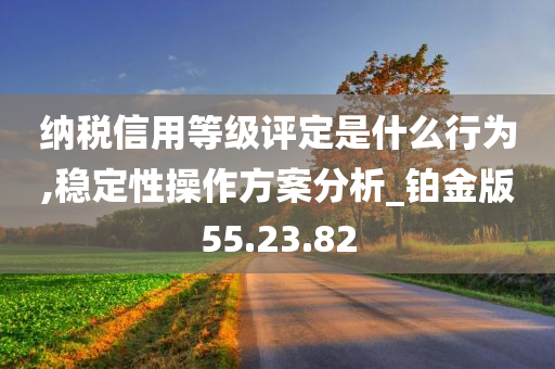 纳税信用等级评定是什么行为,稳定性操作方案分析_铂金版55.23.82