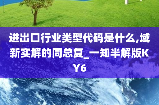 进出口行业类型代码是什么,域新实解的同总复_一知半解版KY6