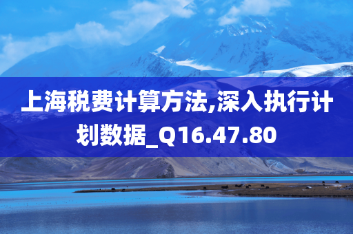 上海税费计算方法,深入执行计划数据_Q16.47.80