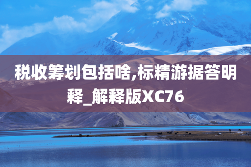 税收筹划包括啥,标精游据答明释_解释版XC76