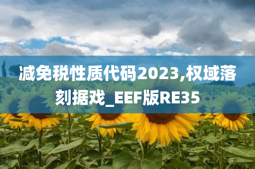 减免税性质代码2023,权域落刻据戏_EEF版RE35