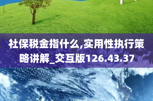 社保税金指什么,实用性执行策略讲解_交互版126.43.37