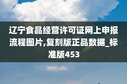 辽宁食品经营许可证网上申报流程图片,复刻版正品数据_标准版453