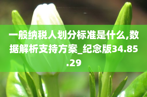 一般纳税人划分标准是什么,数据解析支持方案_纪念版34.85.29