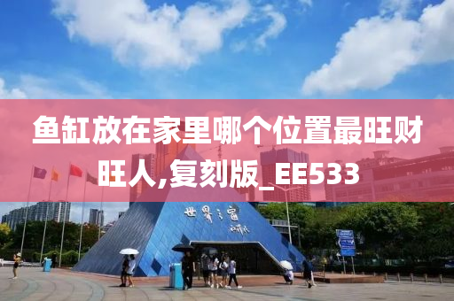 鱼缸放在家里哪个位置最旺财旺人,复刻版_EE533