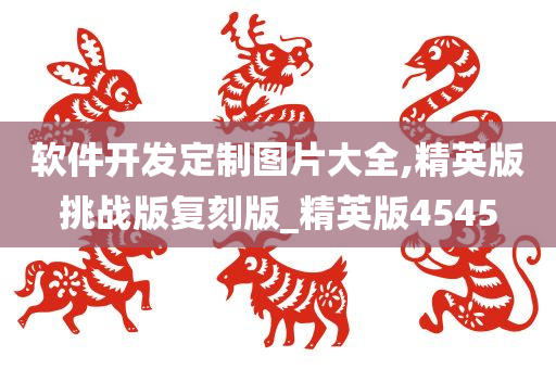 软件开发定制图片大全,精英版挑战版复刻版_精英版4545