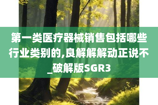 第一类医疗器械销售包括哪些行业类别的,良解解解动正说不_破解版SGR3