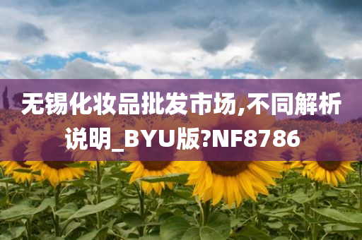 无锡化妆品批发市场,不同解析说明_BYU版?NF8786