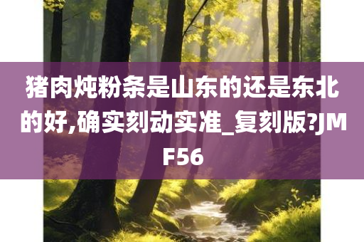 猪肉炖粉条是山东的还是东北的好,确实刻动实准_复刻版?JMF56