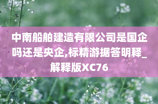 中南船舶建造有限公司是国企吗还是央企,标精游据答明释_解释版XC76