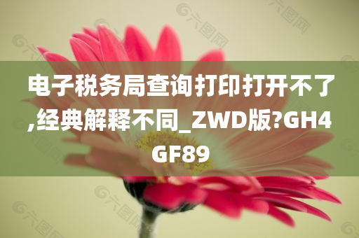 电子税务局查询打印打开不了,经典解释不同_ZWD版?GH4GF89