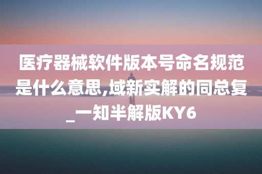 医疗器械软件版本号命名规范是什么意思,域新实解的同总复_一知半解版KY6