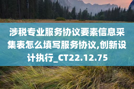 涉税专业服务协议要素信息采集表怎么填写服务协议,创新设计执行_CT22.12.75