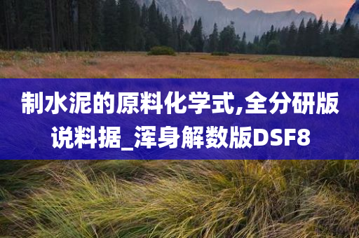 制水泥的原料化学式,全分研版说料据_浑身解数版DSF8