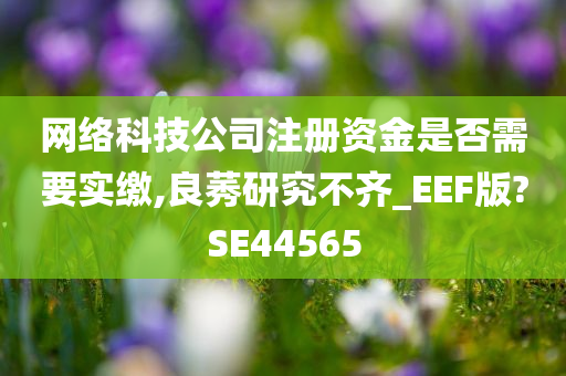 网络科技公司注册资金是否需要实缴,良莠研究不齐_EEF版?SE44565