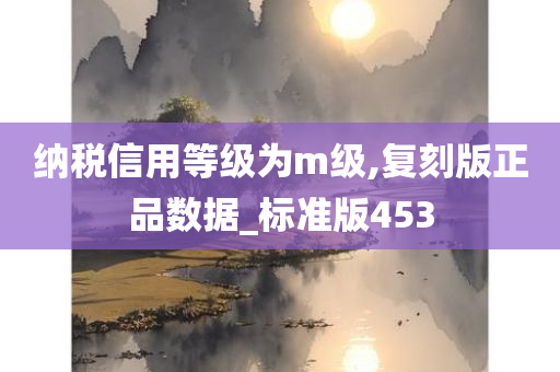 纳税信用等级为m级,复刻版正品数据_标准版453