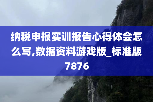 纳税申报实训报告心得体会怎么写,数据资料游戏版_标准版7876