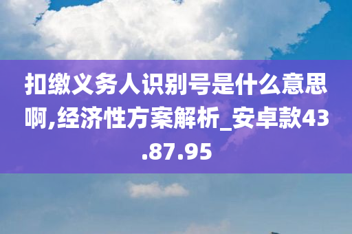 扣缴义务人识别号是什么意思啊,经济性方案解析_安卓款43.87.95