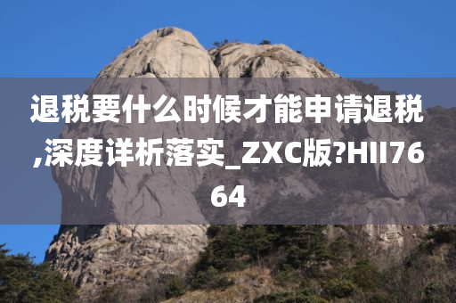 退税要什么时候才能申请退税,深度详析落实_ZXC版?HII7664