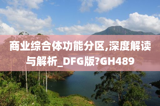 商业综合体功能分区,深度解读与解析_DFG版?GH489