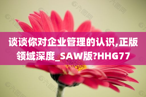 谈谈你对企业管理的认识,正版领域深度_SAW版?HHG77