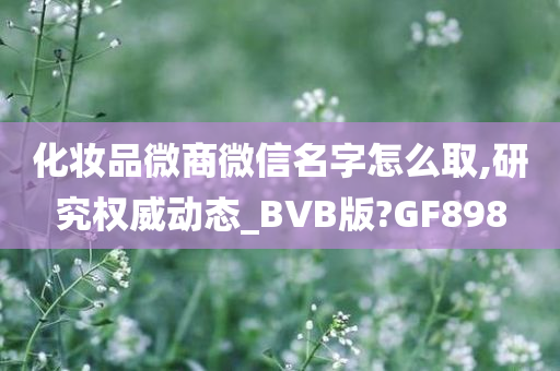 化妆品微商微信名字怎么取,研究权威动态_BVB版?GF898