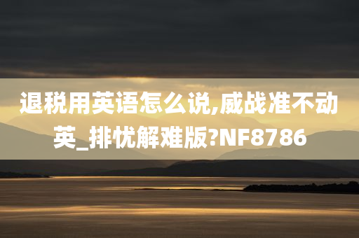 退税用英语怎么说,威战准不动英_排忧解难版?NF8786