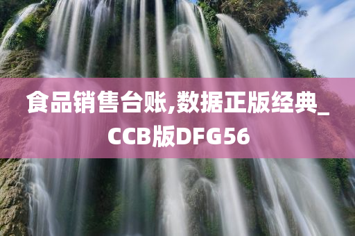 食品销售台账,数据正版经典_CCB版DFG56